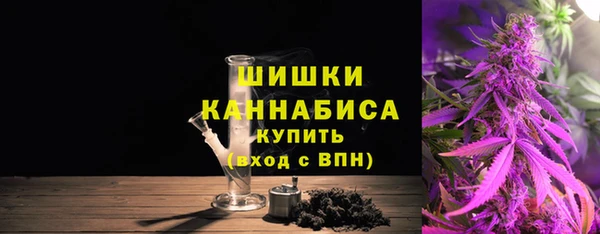 амф Липки