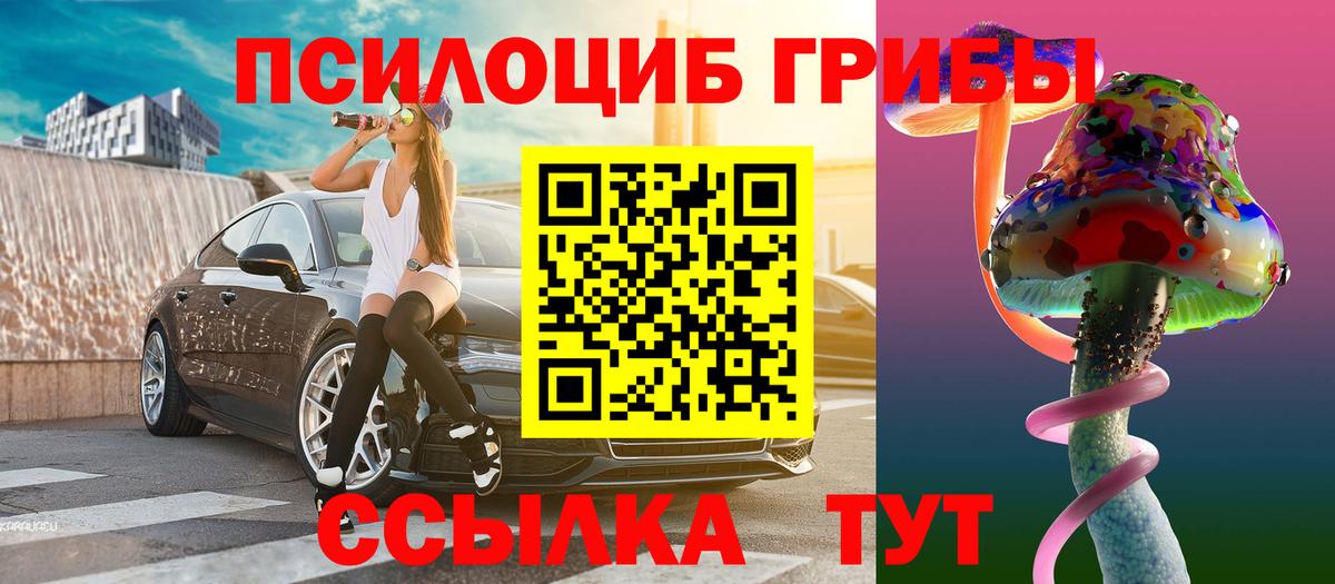 Псилоцибиновые грибы Cubensis Астрахань