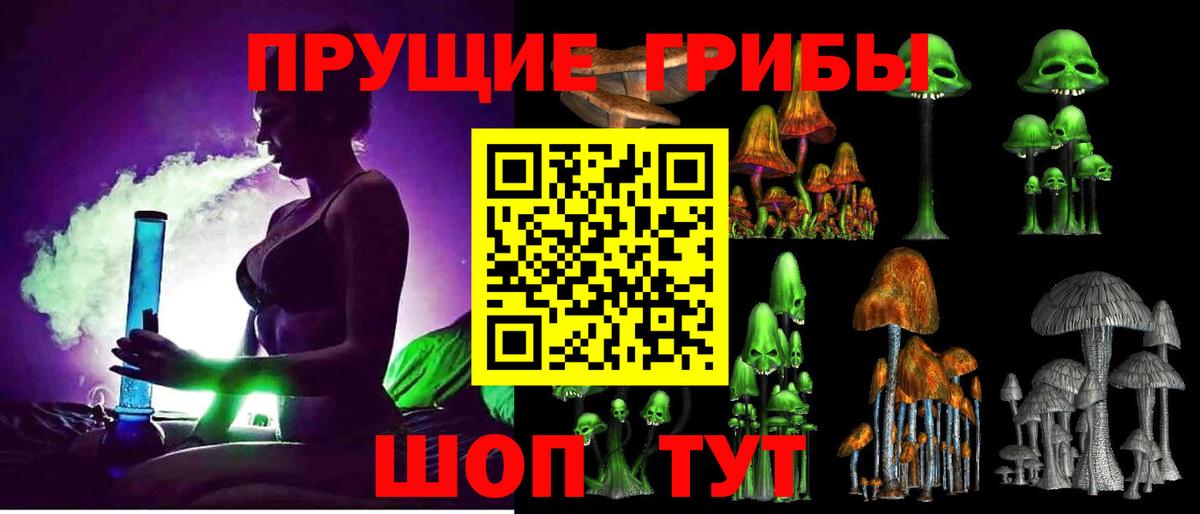 Псилоцибиновые грибы Magic Shrooms  Астрахань  Псилоцибиновые грибы прущие грибы 