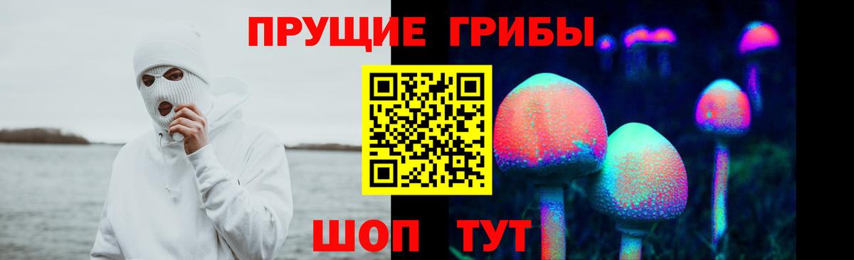 Галлюциногенные грибы Psilocybine cubensis  Вход с VPN  Псилоцибиновые грибы Cubensis  Астрахань 